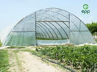 Film de serre en polypropylène PE de haute qualité, résistant aux UV, imperméable, film extensible pour l'agriculture, culture de tomates