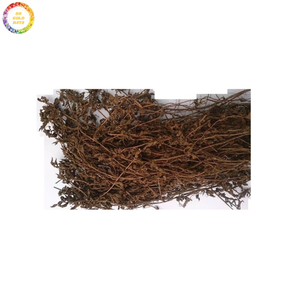 Hojas de gelatina de hierba orgánica de Vietnam Ingrediente ideal para té de postre de gelatina natural y recetas de verano refrescantes - Product Image 1