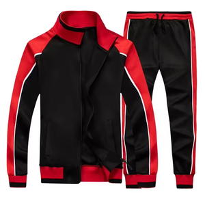Streetwear sportif pour hommes 2 pièces survêtement brodé polyester couleur contrastée survêtements vêtements de sport à la mode - Product Image 4