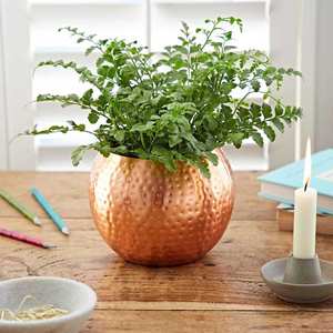 Top Selling With Cheap Price Made In India Antique Planter Pot Flower Pots Planters Modern Made In India With Top Quality - Product Image 5