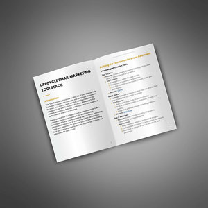 Kit di strumenti di Marketing e-mail del ciclo di vita kit di strumenti promozionali - Product Image 2