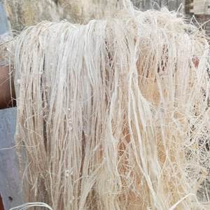 Matériau en fibre de banane pure pour le renforcement des meubles, les métiers à tisser, les feuilles d'emballage et les industries d'exportation - Product Image 1