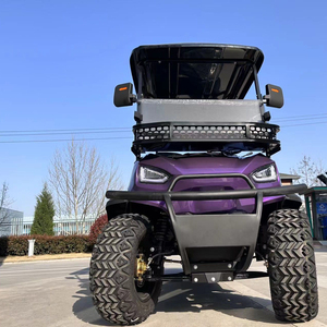 Carrito de Golf Eléctrico Usado de Alta Calidad, Tipo Buggy Chino, Homologado para Circular por la Calle, para Aeropuerto - Product Image 5