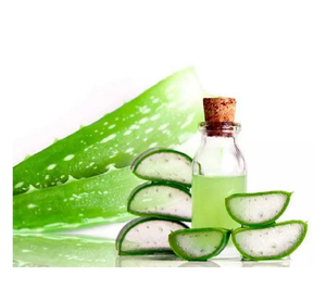 Compre ACEITE DE Aloe Vera a la venta a precios económicos Aceite natural de alta calidad disponible ahora Pedidos al por mayor para entrega rápida - Product Image 4