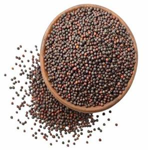 Livraison en gros de graines de canola biologique pur disponibles au prix du marché - Product Image 4