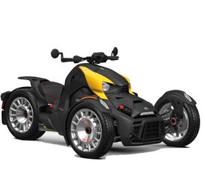 Nuevo 2025 CAN-AM RYKER 900 RALLY Disponible para envío - Product Image 2