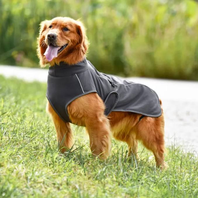 สีเทาเข้ม