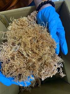 Dried <b>Sea</b> <b>Moss</b> Eucheuma Cottonii <b>Raw</b> Irish Seaweed Purple Gold Organic Bulk Packaged Wildcrafted Spinosum Vietnam Direct Factory - Product Image 2