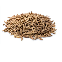 Graines de cumin d'origine de haute qualité Graines Jeera Arôme fort Goût naturel Épice sans gluten Fournisseur en gros d'exportation