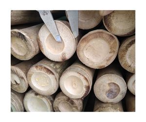 Exportador de Vietnam, venta al por mayor, caña de bambú, material natural ecológico, suministro de fábrica de alta calidad, listo para exportación - Product Image 1