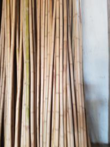 Tubes de bambou du Vietnam, produit préféré sur le marché d'exportation, fourni par un exportateur de confiance, adapté aux applications décoratives - Product Image 5