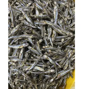 Anchois séché gris de fruits de mer sans vapeur 5-7cm couleur naturelle frais petite taille de haute qualité petit poisson anchois