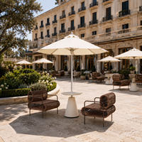 Ensemble de chaises longues en corde résistantes aux intempéries pour l'extérieur, ensemble de fauteuils pour hôtel, resort, café, mobilier commercial, OEM personnalisé