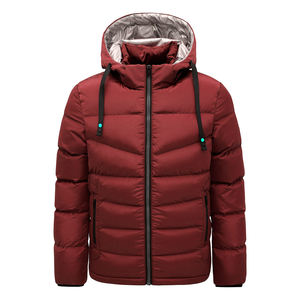 Veste matelassée à capuche imperméable pour hommes Manteau à bulles en polyester avec capuche pour hommes avec logo personnalisé de créateur Veste matelassée d'hiver pour hommes avec capuche - Product Image 2