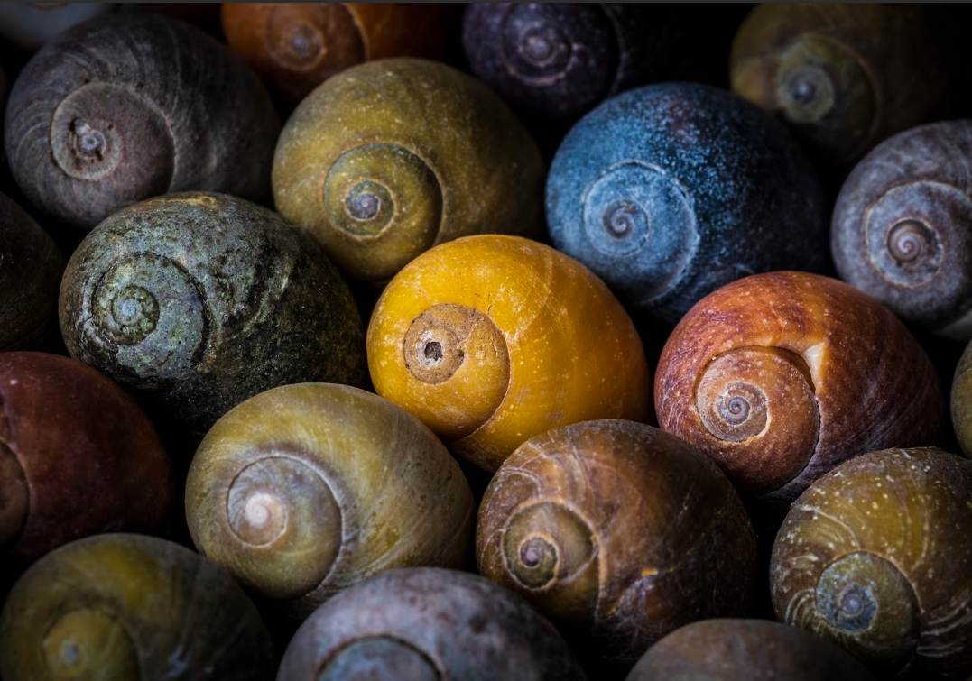 ธรรมชาติ