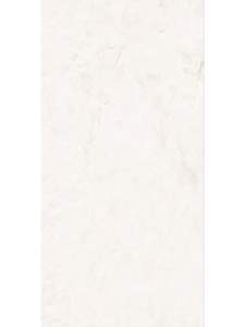 บราสโซ่สีเบจมันวาว - Product Image 2