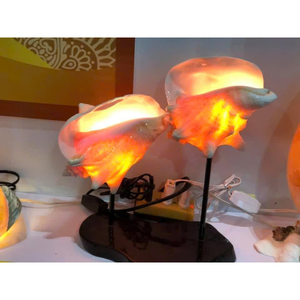 Lampe Offres Spéciales coquillage et haute qualité fabriqués à la main du Vietnam, bonne qualité Trendy Handicraft Vietnam - Product Image 1