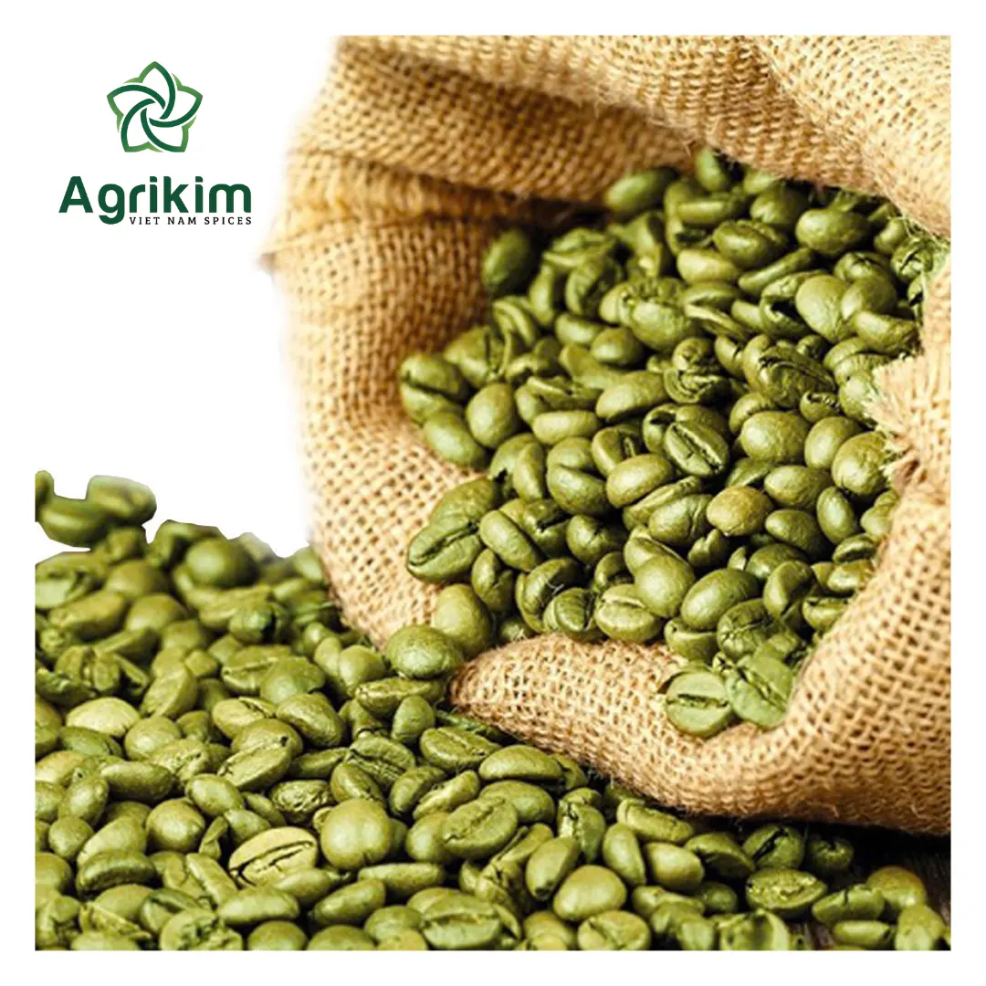 Green Coffee Bean From Vietnam Premium Quality New Harvest Wholesale Price +84363565928