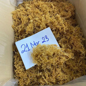 TOP-QUALITY VIETNAMESE <b>DRIED</b> SEA <b>MOSS</b> - BEST PRICE GUARANTEED - Product Image 1
