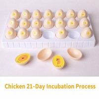 Juguete del Ciclo de Vida del Pollo, Kit Científico de Incubación de Huevos de 21 Días para Niños de 4 a 6 Años con Bandeja de 21 Huevos que se Abren y Modelo de Pollito