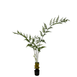 Décoration de jardin et de maison Fougère artificielle Bonsaï Plante en pot de soie en plastique - Product Image 1