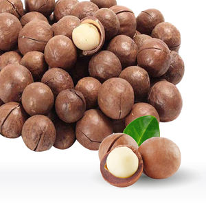 Noix de macadamia crues, grillées sèche avec taille moyenne Vietnam Fabrication en gros Grade A Macca Noix pour la vente en gros - Product Image 4