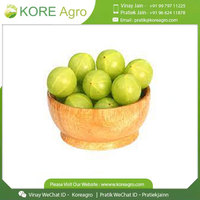 Exportateur en gros de haute qualité vendant 100% poudre d'extrait sec d'Amla organique et pur Amla entier