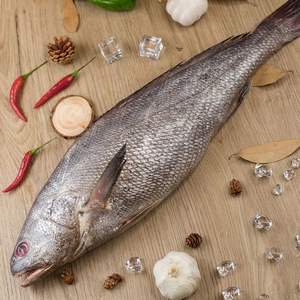 Marisco fresco congelado piscicultura marrom croaker da <span class=keywords><strong>China</strong></span> eviscerado escala 4-8kg Poisson venda para exportação - Product Image 2