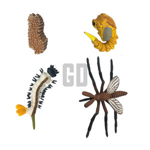 Mosquito Growth Cycle Discover Nature Tiny Yet Mighty Survivors - Product Image 1