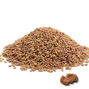 Luzerne | Naturelle Botanique | Exportation verte riche en fibres - Product Image 1