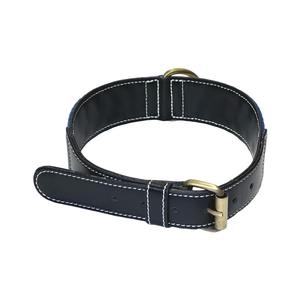 Collier de chien personnalisé en cuir rayé bleu personnalisé réglable durable léger mode tailles personnalisées disponibles malaisien - Product Image 3