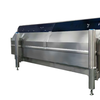 Congélateur d'azote liquide de meilleure qualité Solution de congélation rapide Tunnel de congélation pour poisson, viande, fruits de mer, congélation des aliments fournisseur malaisien