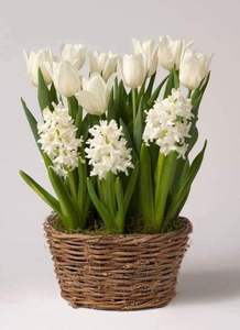 Jardinières en filet de rotin en fer faites à la main Design personnalisé Pots de fleurs d'intérieur et d'extérieur Jardinière à noyau décoratif - Product Image 3