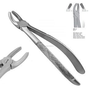 คีมถอนฟันแบบแมนนวล WORLD PRECISION SURGICAL รุ่น Fig 17 WPS-17 ทำจากสแตนเลสสตีล สามารถนึ่งฆ่าเชื้อได้ สำหรับฟันกรามบนขวา - Product Image 6