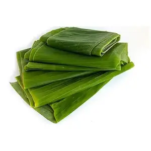 冷凍バナナの葉-ベトナムからの天然100% バナナの葉の輸出天然物-Ms. Shyn 84382089109