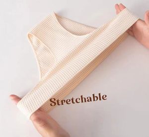 กางเกงในสตรี โพลีเอสเตอร์ ยืดหยุ่นสูง เย็บอย่างประณีต สดใส น่ารัก ลายสก็อต ชุดชั้นในสตรี - Product Image 3