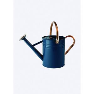 Vente en gros de bidons et de cruches en métal arrosoir décoratif pour maison de ferme et jardin arrosoir à bas prix arrosoir à revêtement laqué - Product Image 3