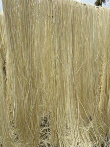 Núcleo de ratán natural de suministro de fabricante de grado A Núcleo de ratán natural redondo - Product Image 6