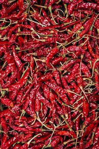 DELICIOSO CHILLI SECO CON PRECIO ESPECIAL-Chile seco para especias Hierba de Vietnam - Product Image 3