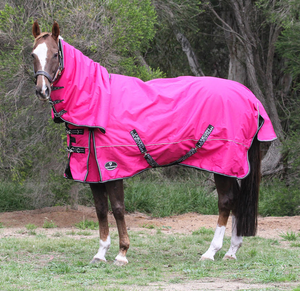 Alfombra de caballo de invierno con ajuste personalizado impermeable y resistente al viento hecha con tela de poliéster 100% para uso en exteriores - Product Image 2