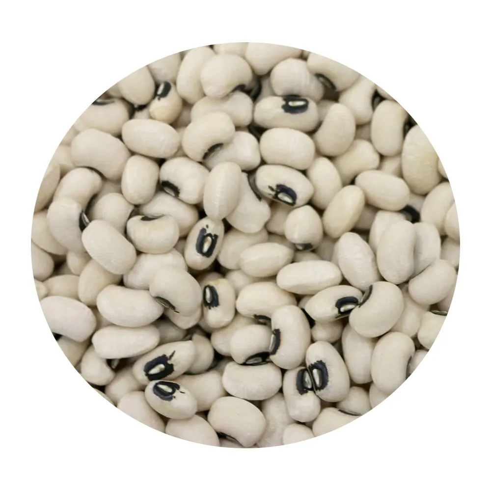 Non-GMO Good price High Grade Natural Bulk Dried Black Eye Kidney Beans from Uzbekistan Black eye kidney beans for Food