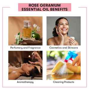 Aceite Esencial de Geranio Rosa 100% Puro, Grado Terapéutico y Cosmético, para Hidratar la Piel, Aspecto Líquido - Product Image 4