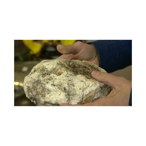 Cápsulas de Extracto Animal de Ámbar Gris Blanco de Alta Calidad para Uso Cosmético, Listas para Exportación, Opción de Precio Económico para Compradores, Personalizadas - Product Image 5