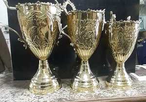 Stainless Steel Sports <b>Trophy</b> <b>Cup</b> Customized Achievement Award Display Durable Premium Quality - Product Image 2
