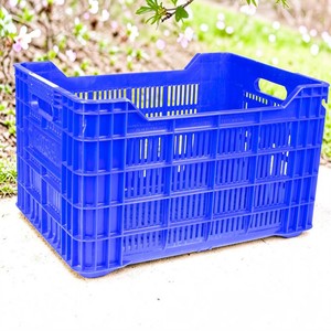 DPK06: <b>Plastic</b> Fruit <b>Crates</b> - Product Image 2