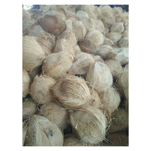 Coco semidescascarillado elegido para un contenido de agua y sabor de peso equilibrado disponible para compradores comerciales - Product Image 3