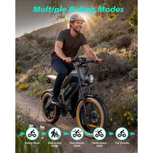 Bicicleta Eléctrica Todoterreno M20, 750W, 48V, 60KM de Autonomía, Motor Central, Batería Integrada, Rueda de 20 Pulgadas, Bicicleta Eléctrica de Montaña - Product Image 6