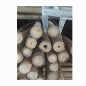 Estacas de material de bambú de alta calidad Postes de bambú rectos tratados Moso para agricultura o construcción - Product Image 4