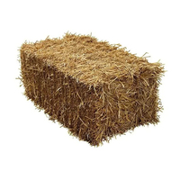 Balles de foin d'alfalfa hautement nutritives pour chevaux, bovins, porcs - Niveau 1 - Alimentation animale de qualité