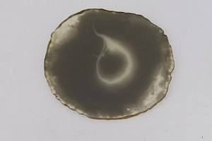 Sous-verres et tapis ronds en bois écologiques de la meilleure qualité, style classique, personnalisables pour un usage commercial, boissons chaudes/froides - Product Image 2